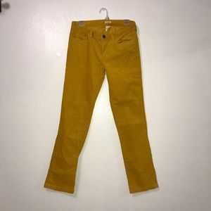 J crew pant